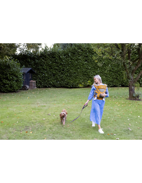 BB-V1907ACPPR990,Joie - Sistem ergonomic Savvy, Black Pepper