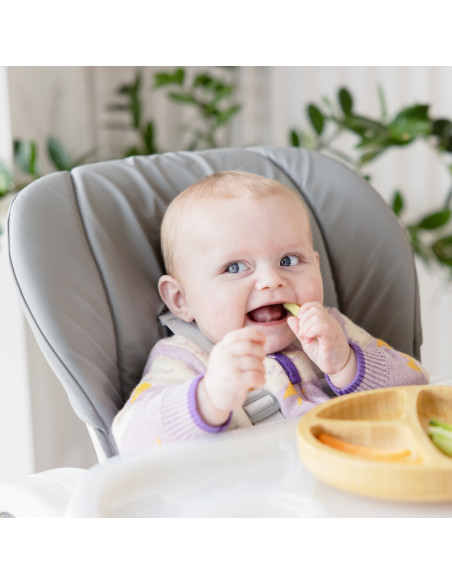 BB-H1013EBARC000,Joie - Scaun de masa Mimzy Recline Arctic, nastere - 15 kg