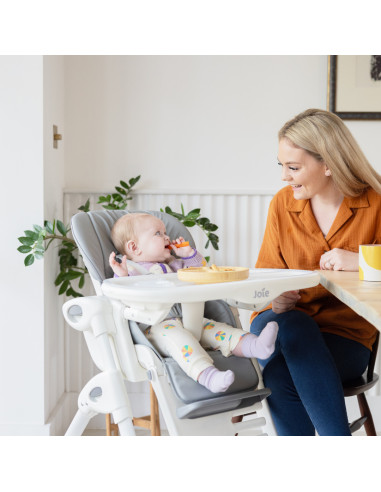 BB-H1013EBARC000,Joie - Scaun de masa Mimzy Recline Arctic, nastere - 15 kg