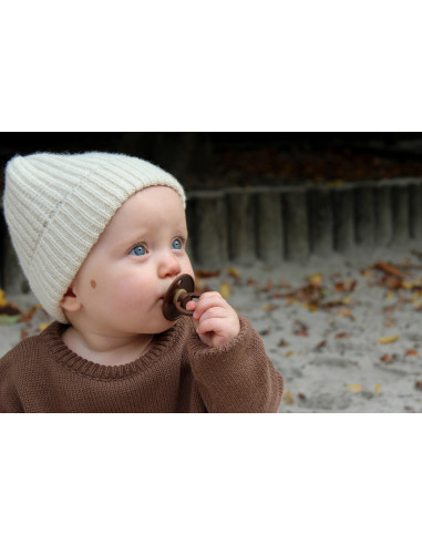 BB-120462,BIBS - Set 2 suzete Colour Latex, tetina rotunda, 6 luni +-Mushroom/Breeze