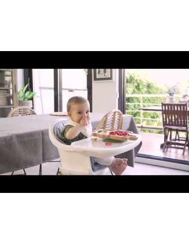 TN-89472,Farfuriuta compartimitata cu baza din silicon Miniland Frog