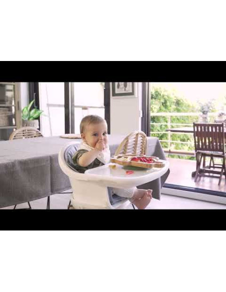 TN-89472,Farfuriuta compartimitata cu baza din silicon Miniland Frog