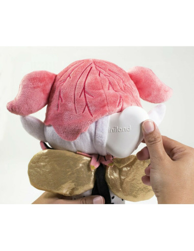 TN-89362,Papusa DreamBuddy Fairy Miniland