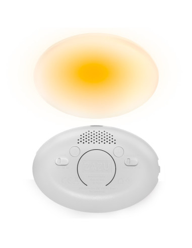 ZA-RO-01,Iepurasul RO cu dispozitiv lumina si sunet, Maro