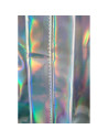 G480,Ghiozdan Starpak Disco, 1 compartiment, 3 buzunare, curcubeu, argintiu, 429488