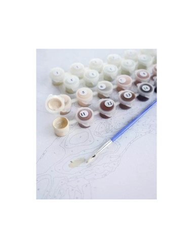 P4298,Set pictura pe numere 30x30cm, Brushme - Broscuta testoasa - pensule, culori, RC00064M