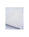 P4298,Set pictura pe numere 30x30cm, Brushme - Broscuta testoasa - pensule, culori, RC00064M