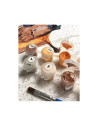 P4298,Set pictura pe numere 30x30cm, Brushme - Broscuta testoasa - pensule, culori, RC00064M