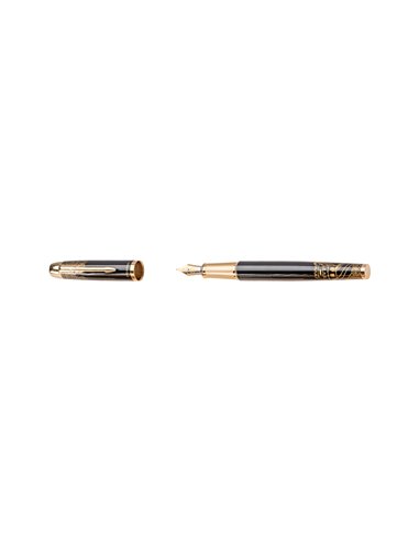 Set stilou+calimara picasso 9666n