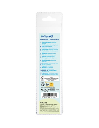 701532,Set 5 pensule starter Pelikan – seria 613F (2, 4, 8, 10, 12), blister
