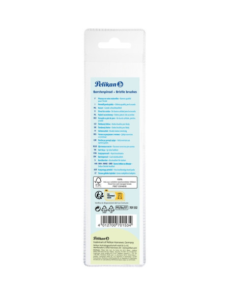 701532,Set 5 pensule starter Pelikan – seria 613F (2, 4, 8, 10, 12), blister