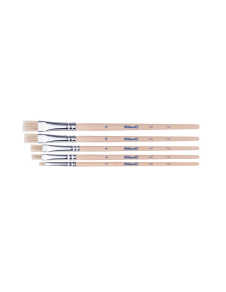 701532,Set 5 pensule starter Pelikan – seria 613F (2, 4, 8, 10, 12), blister