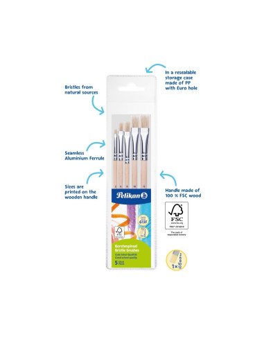 701532,Set 5 pensule starter Pelikan – seria 613F (2, 4, 8, 10, 12), blister