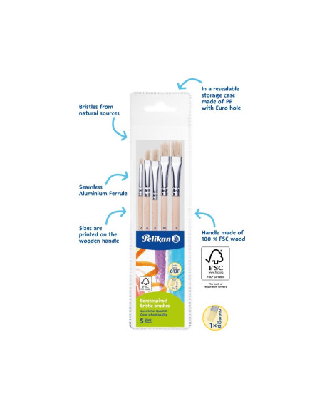 701532,Set 5 pensule starter Pelikan – seria 613F (2, 4, 8, 10, 12), blister