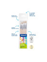 701532,Set 5 pensule starter Pelikan – seria 613F (2, 4, 8, 10, 12), blister