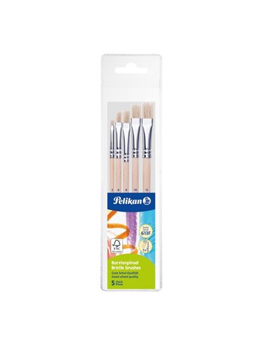 Set 5 pensule starter Pelikan – seria 613F (2, 4, 8, 10, 12), blister