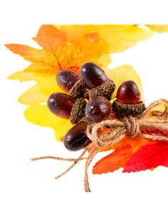 Accesorii Craft - Ad527 Ghinde De Padure Daco 2