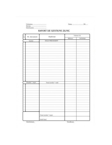 TP000029,Raport de gestiune zilnic