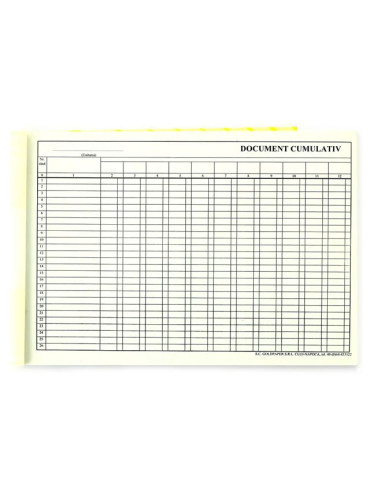 TP000047,Document cumulativ a4 orizontal