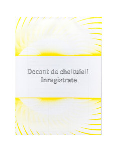 TP000082,Decont de cheltuieli inregistrate a5 2