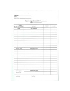 TP000104,Raport de gestiune zilnic autocopiativ