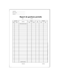 TP000117,Raport de gestiune periodic autocopiativ