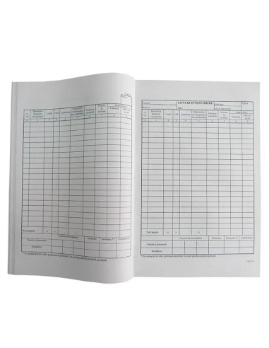 TP000083,Lista inventar vertical 9 coloane