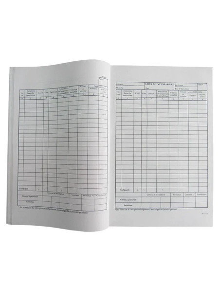 TP000083,Lista inventar vertical 9 coloane
