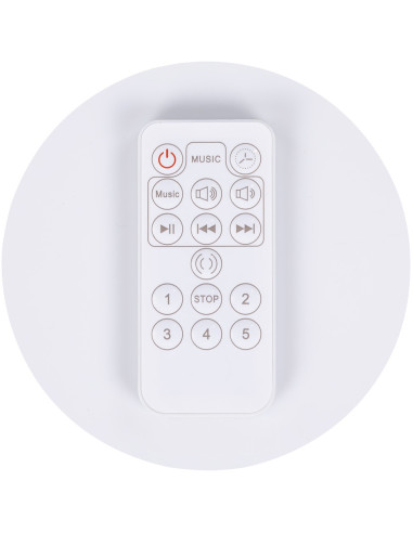 SHEES2501BI,Leagan electric Chipolino E-sway biscotta