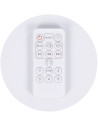 SHEES2501BI,Leagan electric Chipolino E-sway biscotta