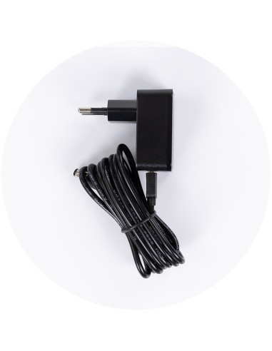 SHEES2501BI,Leagan electric Chipolino E-sway biscotta