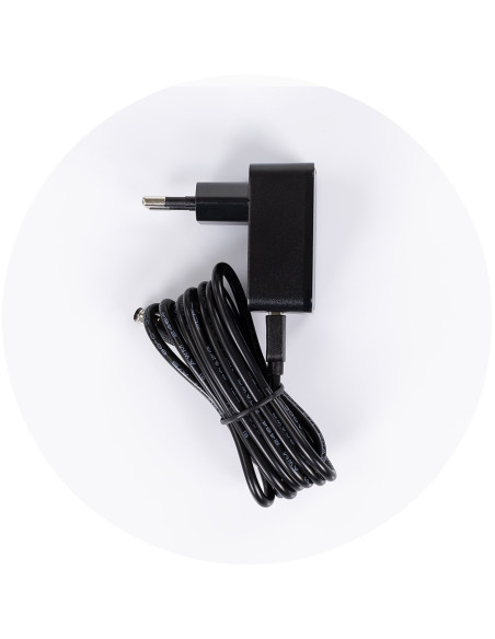 SHEES2501BI,Leagan electric Chipolino E-sway biscotta