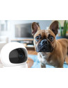UP-NEN-MAM-NN011,Neno Orso – camera video profesionala Wi-Fi cu conectare pe telefon