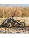 3250FED60PL,Balance bike QPlay Feduro Negru-Auriu