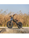 3250FED60PL,Balance bike QPlay Feduro Negru-Auriu