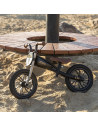 3250FED60PL,Balance bike QPlay Feduro Negru-Auriu