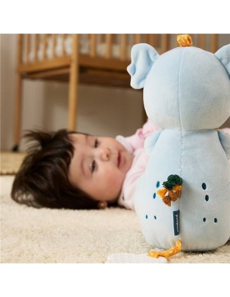 ML97384,Jucarie educativa din plus, de la 12 luni, Ursulet Koala