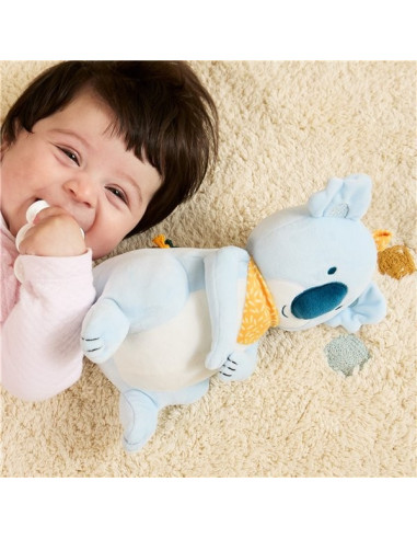 ML97384,Jucarie educativa din plus, de la 12 luni, Ursulet Koala