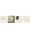 BN-LO-Coral_White,Patut balansoar, Lionelo, Coral, Cu landou ergonomic detasabil, Functie de balansare integrata, Functie de can