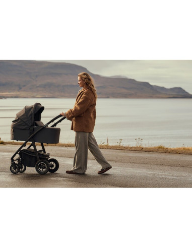 BN-LO-AMBER_PLUS_3IN1_GREEN_FOREST,Carucior 3 in 1, Lionelo, Amber Plus, Cadru aluminiu, Cu landou intarit si salteluta moale, C