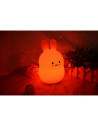 BN-84973,Lampa de veghe, FreeON, Silicon moale, Cu telecomanda si cablu USB, Cu 9 culori diferite si cronometru, Rabbit