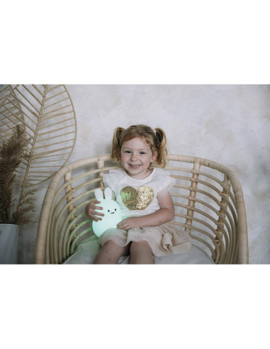 BN-84980,Lampa de veghe, FreeON, Silicon moale, Cu telecomanda si cablu USB, Cu 9 culori diferite si cronometru, Owl