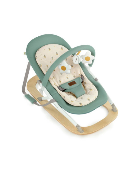 BN-8420421090909,Balansoar, Jane, Kalm, Pliabil, Cu bara de jucarii si spatar reglabil, Cu baza din lemn, Conform cu standardul 