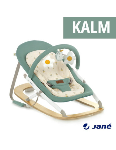 BN-8420421090909,Balansoar, Jane, Kalm, Pliabil, Cu bara de jucarii si spatar reglabil, Cu baza din lemn, Conform cu standardul 