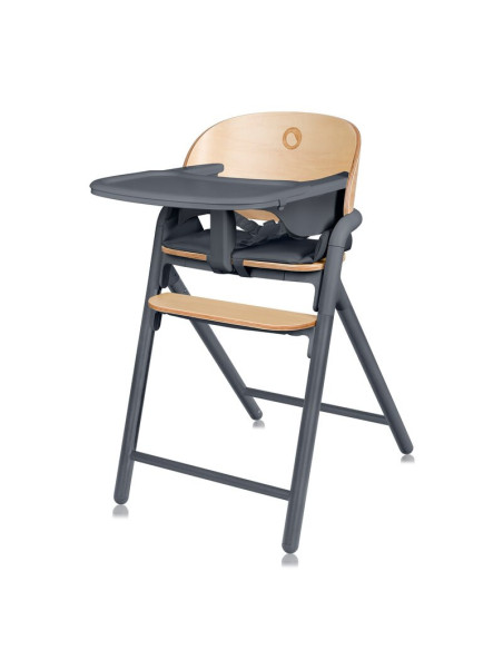 BN-LO-CELIA_GREY_WOOD,Scaun de masa multifunctional Celia, Lionelo, Din lemn de fag, 6 luni- adult, Reglabil pe inaltime, Spatar