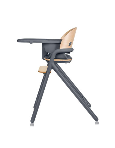 BN-LO-CELIA_GREY_WOOD,Scaun de masa multifunctional Celia, Lionelo, Din lemn de fag, 6 luni- adult, Reglabil pe inaltime, Spatar