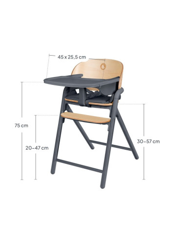 BN-LO-CELIA_GREY_WOOD,Scaun de masa multifunctional Celia, Lionelo, Din lemn de fag, 6 luni- adult, Reglabil pe inaltime, Spatar
