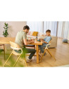 BN-LO-CELIA_GREY_WOOD,Scaun de masa multifunctional Celia, Lionelo, Din lemn de fag, 6 luni- adult, Reglabil pe inaltime, Spatar