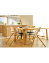 BN-LO-CELIA_GREY_WOOD,Scaun de masa multifunctional Celia, Lionelo, Din lemn de fag, 6 luni- adult, Reglabil pe inaltime, Spatar