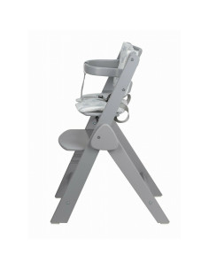 BN-86496,Scaun de masa, FreeON, Finny Fold, 6 luni - 15 Kg, Reglabil pe inaltime, Pernuta, Pliabil, Gray 2